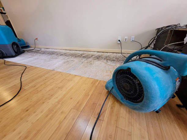 Reliable Basement Flood Cleanup contractor in Clayton, NJ by Hirex Water Damage