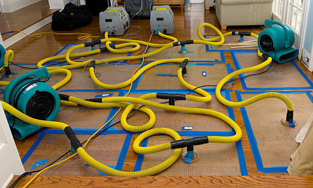 Professional Basement Flood Cleanup technician working in Clayton, NJ